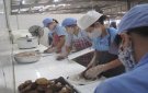 BÀI TUYÊN TRUYỀN ĐẢM BẢO VỆ SINH AN TOÀN THỰC PHẨM CƠ SỞ KINH DOANH DỊCH VỤ ĂN UỐNG