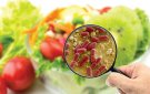 BÀI TRUYỀN THÔNG  NGUYÊN NHÂN GÂY Ô NHIỄM THỰC PHẨM  